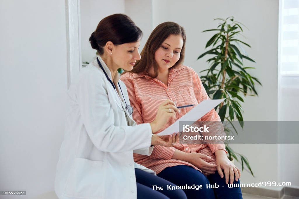 A pretty overweight on a nutritionist consultation, talking about a diet plan. A smiling female nutritionist explaining a diet plan, a balanced and healthy menu for a pretty overweight woman. Doctor Stock Photo
